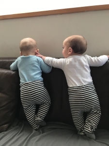 Twins: Good for getting mortgage brokers up in the morning